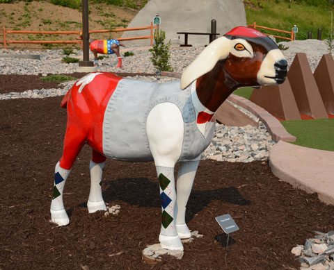 One of the 10 life-size goats, in honor of the late Payne Stewart, scattered throughout the Matterhorn's 18-hole golf course in Canton.
