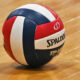 volleyball graphic