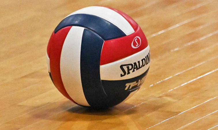 volleyball graphic
